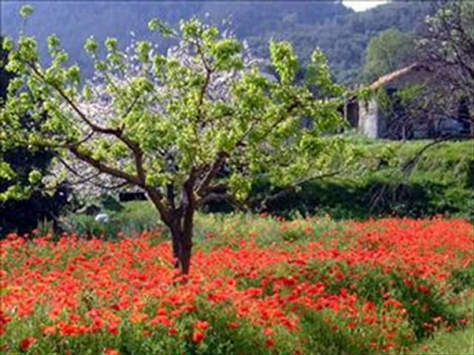 COUNTRY TAMMY WYNETTE.