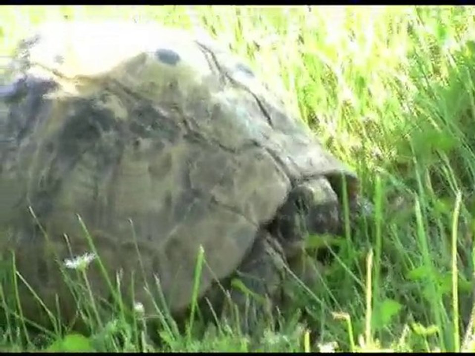 Caroline va se coucher