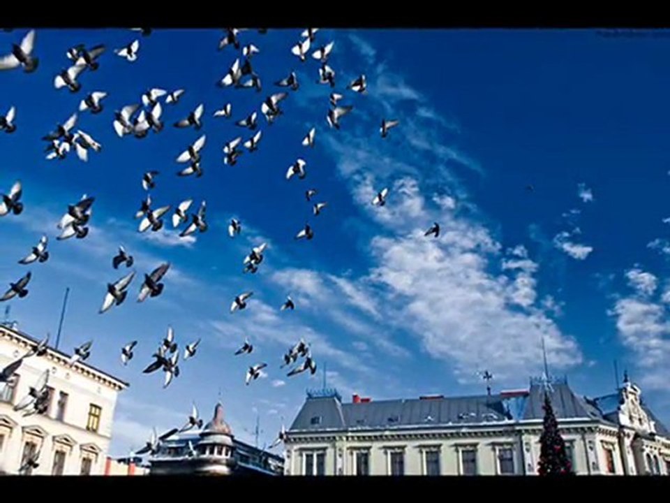 ODLECIAŁY  DO  NIEBA...