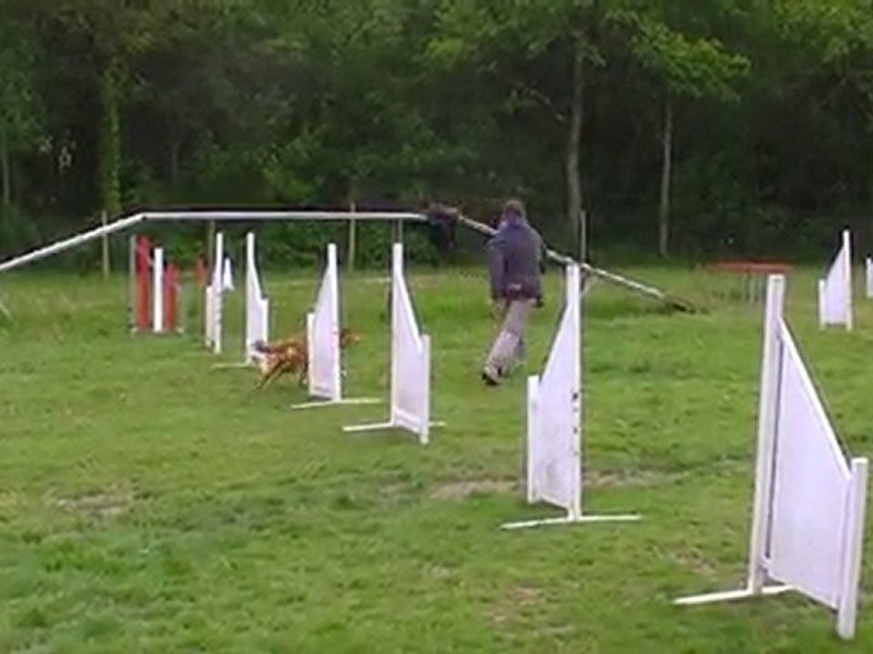 Magic conduite