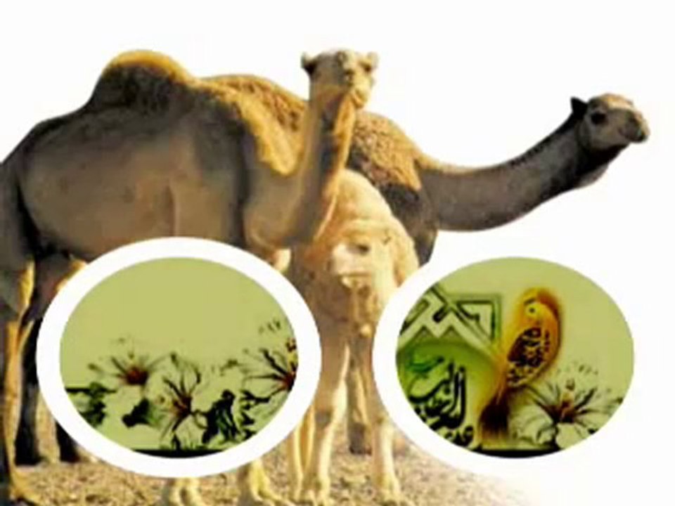 ilahiler videolar,www.canmedinem.net İbrahim Cuşan İlahi Aşk