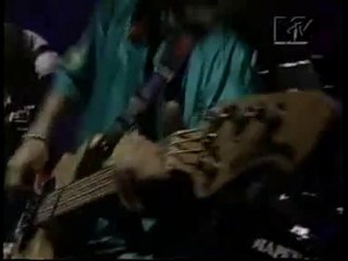 A.N.I.M.A.L - Mas cabezas para tu pared (En Vivo MTV)