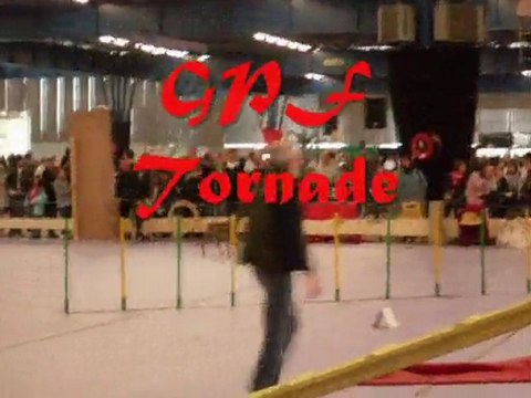 Concours d'agility Voiron 9 mai 2010