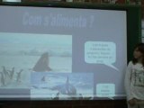Exposició oral sobre l'Orca
