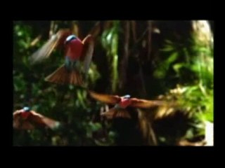 VOTKA 1967 | Dünya'nın Son 67 Saniyesi