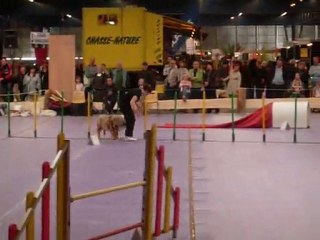 Agility Voiron Marine et Calcio 9 mai 2010