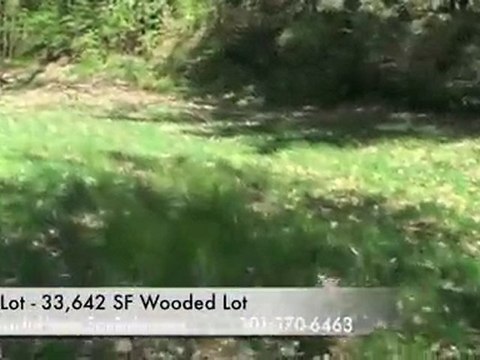 Real Estate Bethesda Md for SAle 33000sf wooded lot with Ne