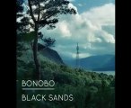 Bonobo-Stay The Same Featuring Adreya Triana (Black Sands)
