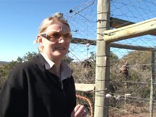 South African game reserve treats injured local wildlife