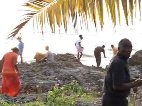 Oyeyemi British novelist talks about her Jamaican experience