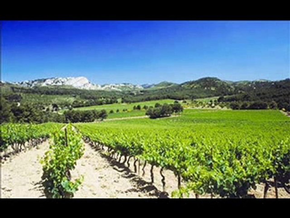 Réforme économique saine par Claude EON * Le Cep *