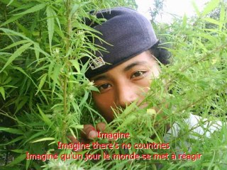 Toky raza - Reconstruction