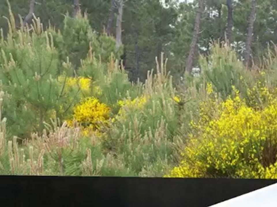 Souvenirs Mai 2010 Charente-Maritime