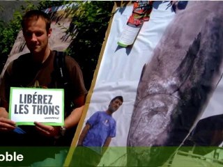 Contre une pêche illégitime, agissez avec Greenpeace