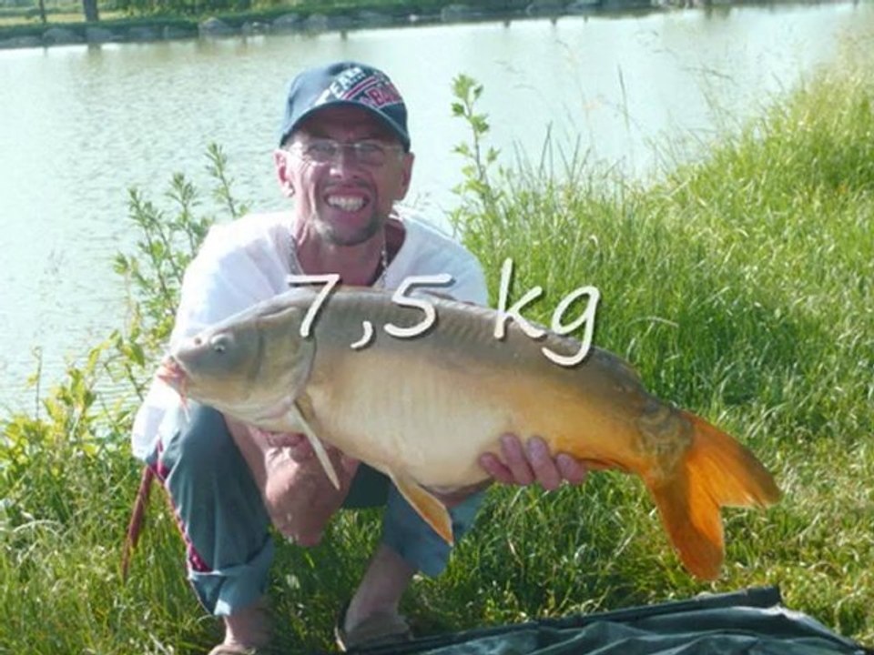 Peche de la carpe