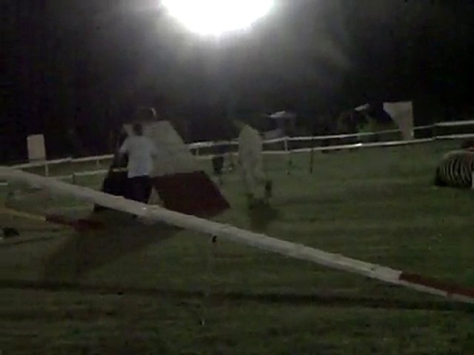 Dixie concours d'agility Ingwiller GPF 05/06/2010