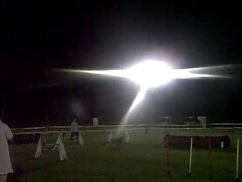 Dixie concours d'agility Ingwiller JUMPING 05/06/2010