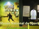 Allez la France les Footballeurs africains sont là!