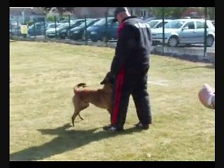 Concours ROOST WARENDIN - Echelon 2