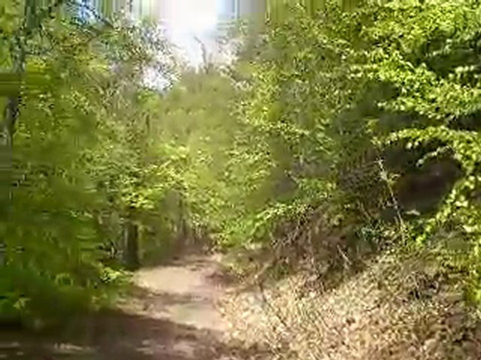 Sortie piste avec delf