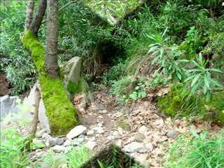 slayt-dikili nebiler köyü -parkur  : 13.3 km