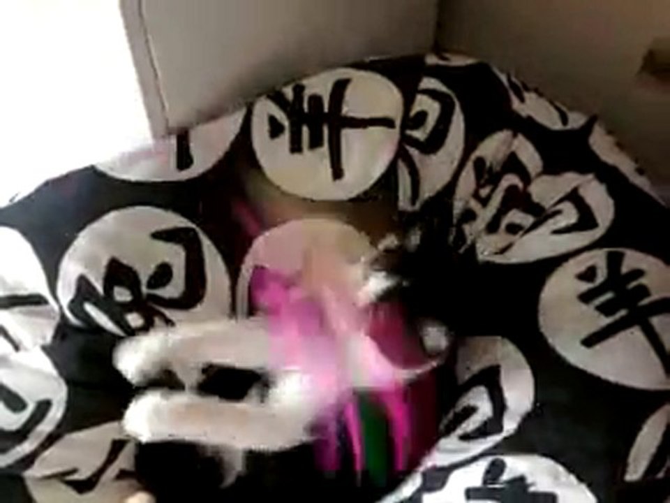 pasha