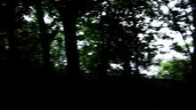 LOST - 4