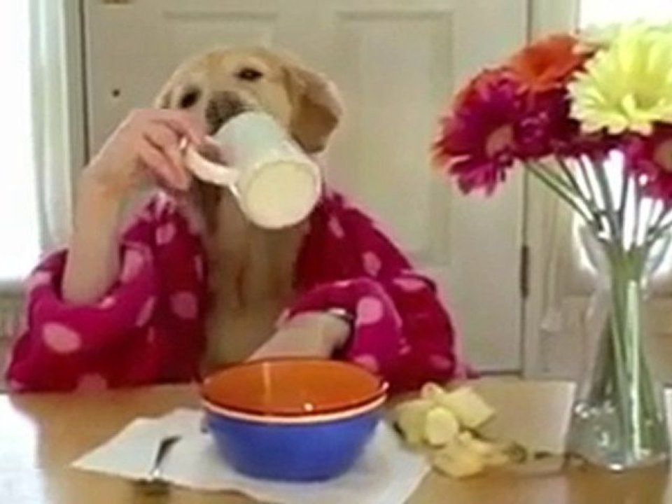 Kahvaltı- Breakfast :)