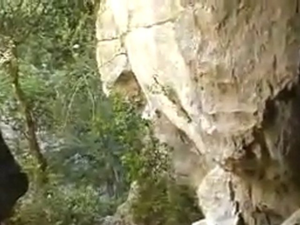 Bois de Païolive ... (1/2)