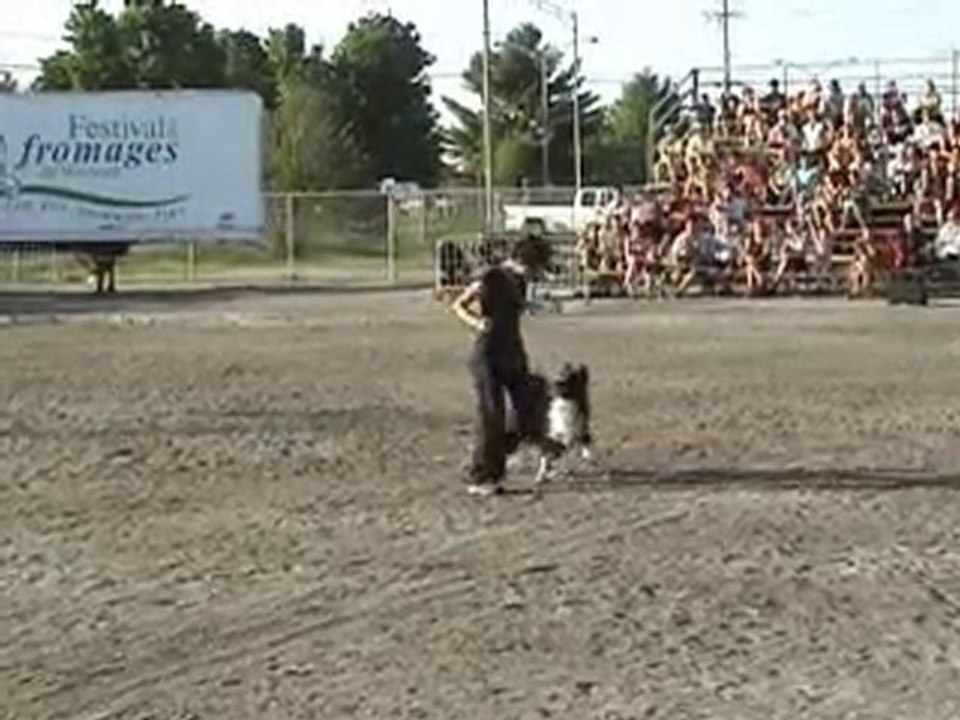 Junior et Karyne en freestyle canin.