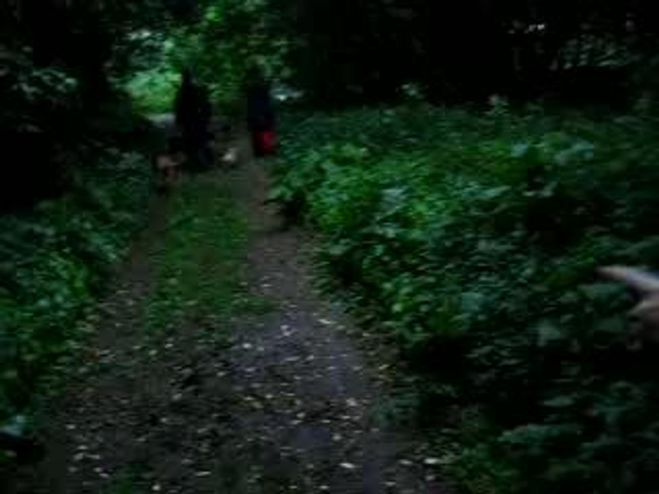 LOST - 5
