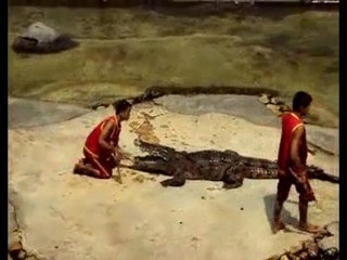 crocodile show in thailand 2010-xiếc cá sấu thái lan- phan 2