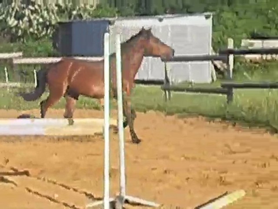 Upercut Star Troidés