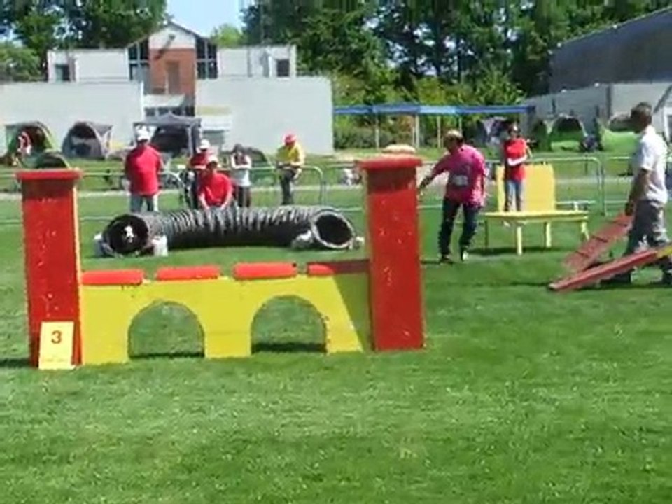 Baia agility 1 Trophée par équipe Limoges 2010