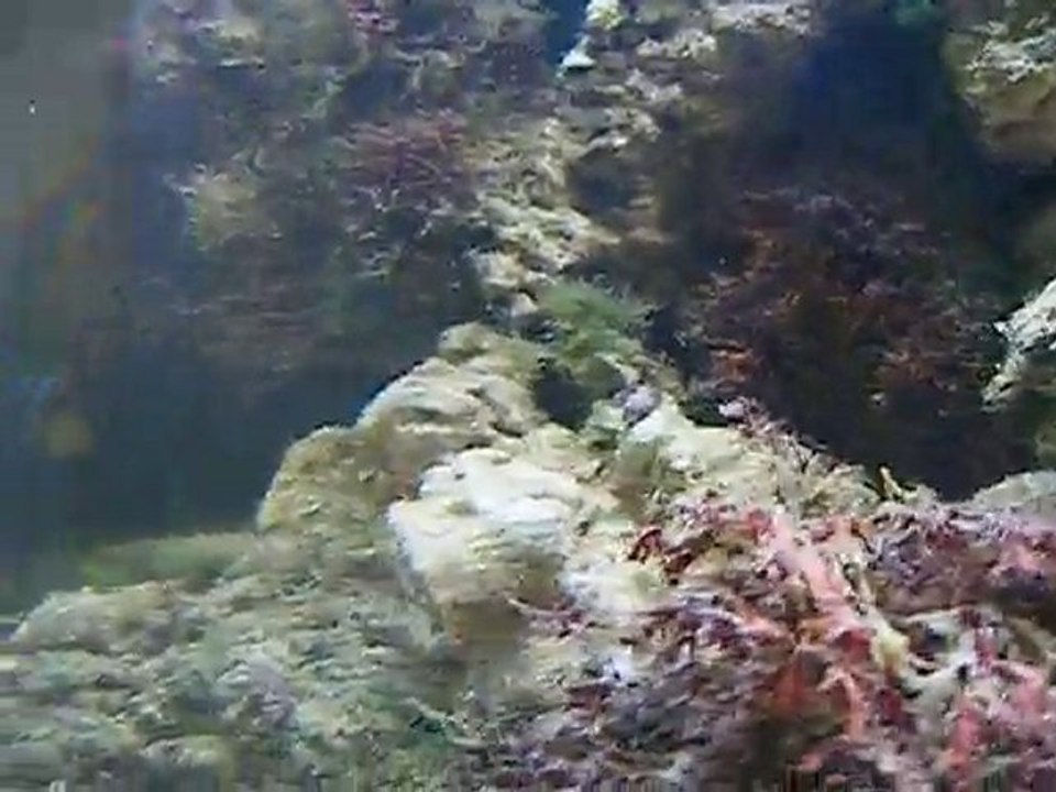 DSCF1595