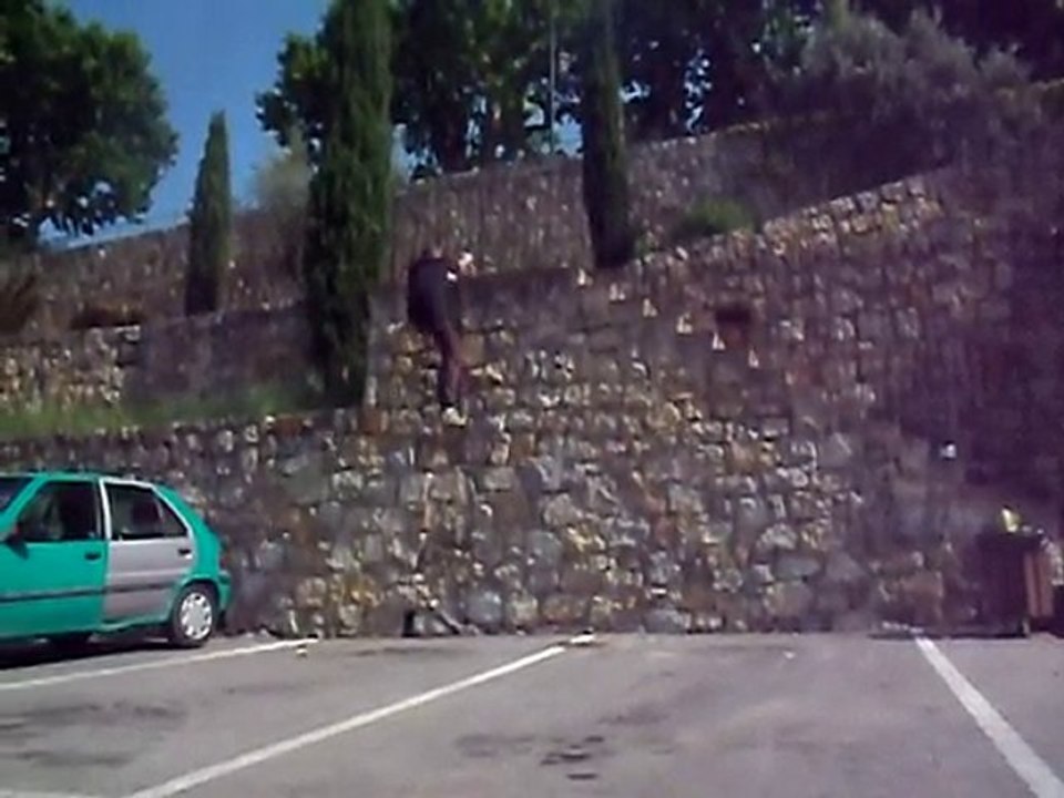 parkour&free running