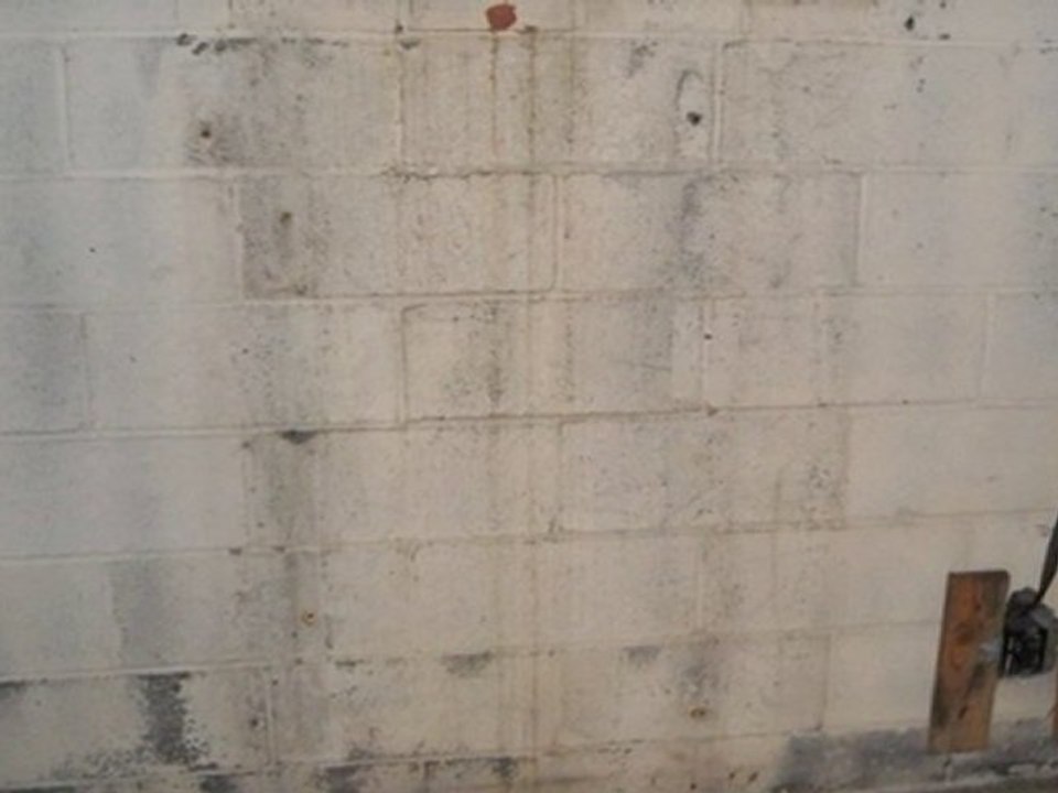 Wet Basement Signs