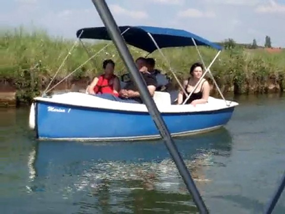 havanais