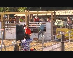 Aimargues -rodeo sur les taureaux