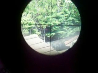 test attache caméra sur G36 n°2