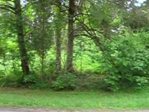 owner financed land Louisa, land for sale louisa