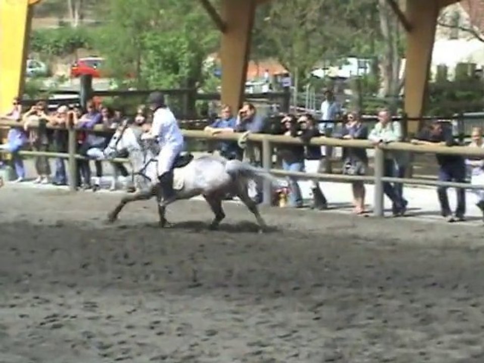 Christelle CSO club élite