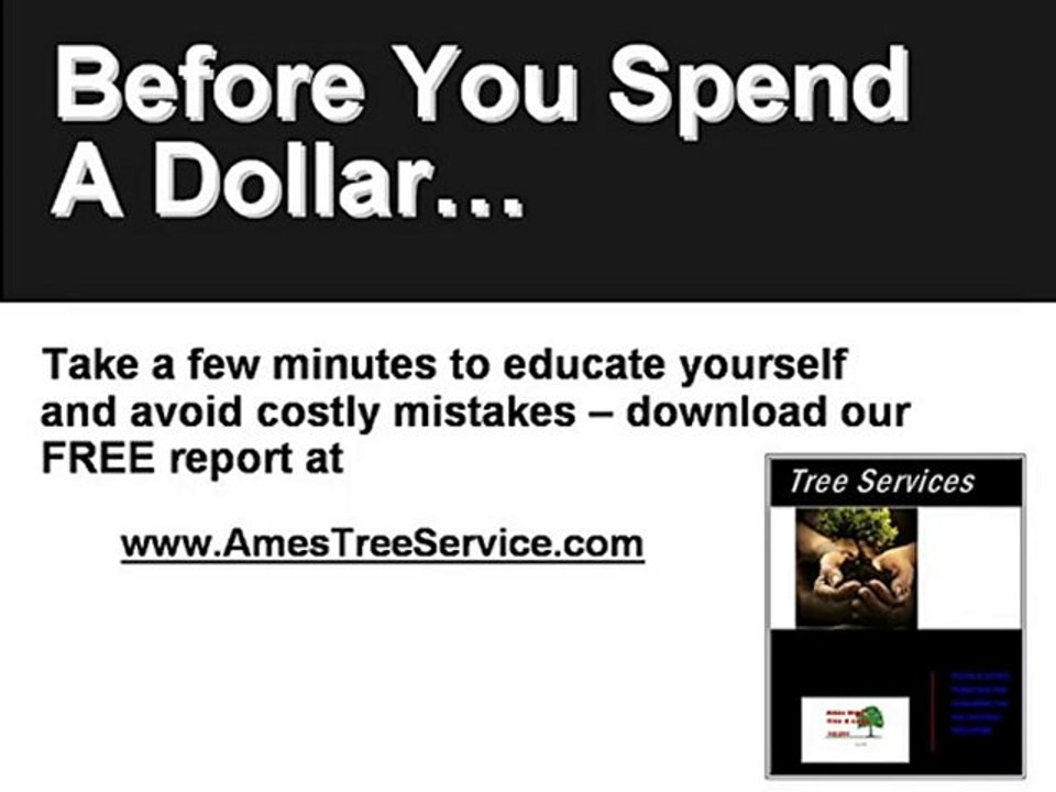 Tree Services Ames Iowa Trimming Pruning Planting Storm Dam