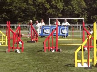 canapés kings jump