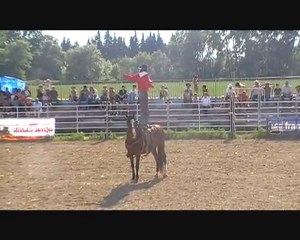Aimargues festival western de longhorn