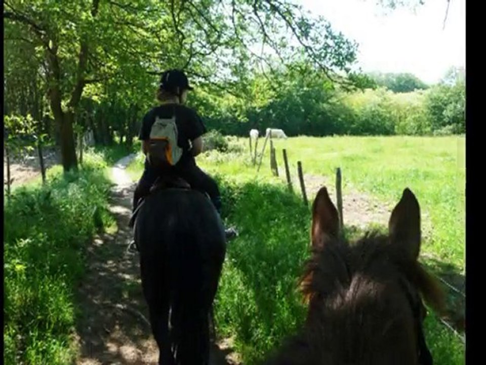 olten premiere ballade