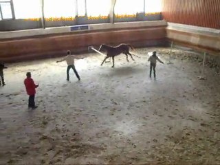 Presentation rosieres tema 1