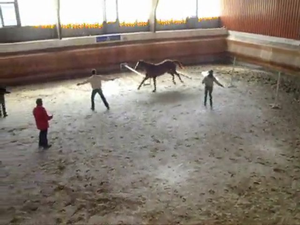 Presentation rosieres tema 1