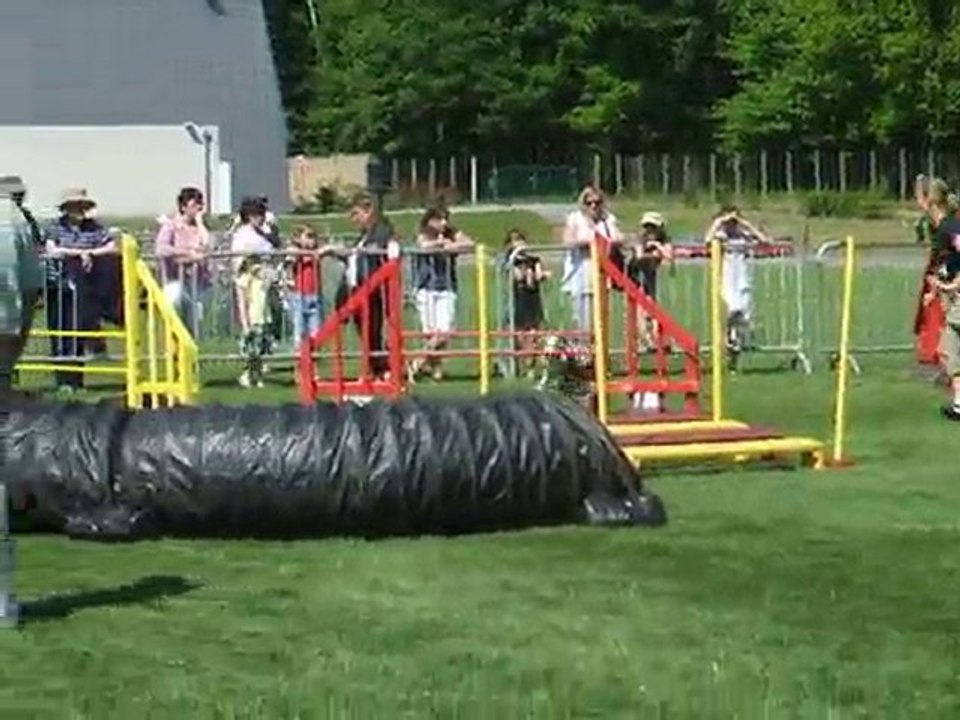 Swanny jump 1 Trophée par équipe Limoges 2010