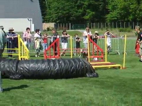 Swanny jump 1 Trophée par équipe Limoges 2010